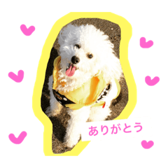 [LINEスタンプ] キャンディちゃんの日常生活