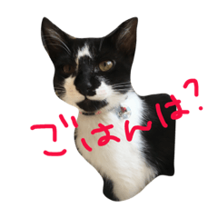 [LINEスタンプ] 沖田チョロまつ