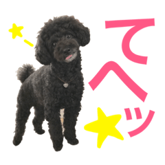 [LINEスタンプ] はるくんスタンプ！！