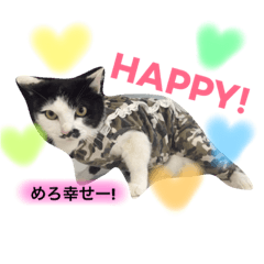[LINEスタンプ] めろスタンプ