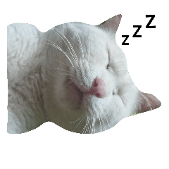[LINEスタンプ] ニャーたち