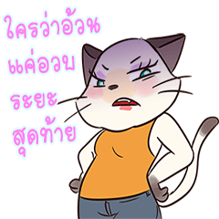 [LINEスタンプ] Meawnoi Maomoi session2