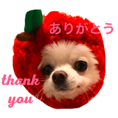 [LINEスタンプ] まりあとおしゃべりしよっ！