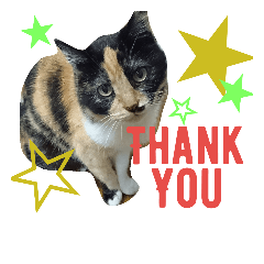 [LINEスタンプ] 我が家の猫ら