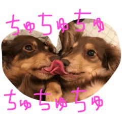 [LINEスタンプ] おにまんぷぅ