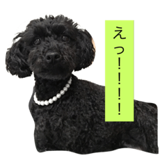 [LINEスタンプ] 私とモコ4