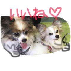 [LINEスタンプ] ハルとガブ