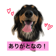 [LINEスタンプ] 我が家の自宅警備員、大豆くん