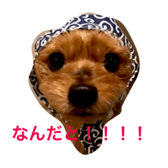 [LINEスタンプ] 36gj6