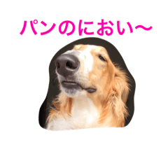 [LINEスタンプ] ぼくのパンとカニ