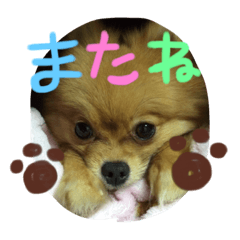 [LINEスタンプ] maron.karen