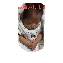 [LINEスタンプ] KO STAMPS