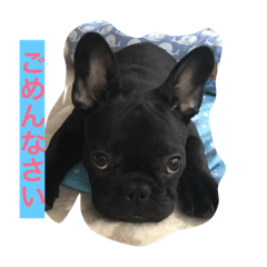 [LINEスタンプ] Bardie