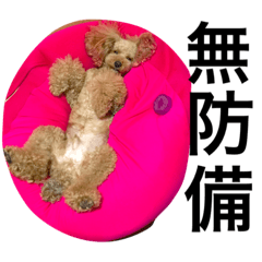 [LINEスタンプ] 愛犬チョッパー。