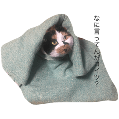 [LINEスタンプ] ミラー