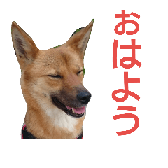 [LINEスタンプ] 保護犬エル