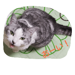 [LINEスタンプ] Yuzu Chan Sticker