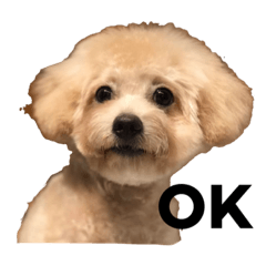 [LINEスタンプ] けむし
