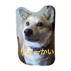 [LINEスタンプ] タローちゃん