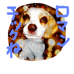 [LINEスタンプ] びーちゃんは かわいこ