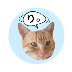[LINEスタンプ] おおそらゴンちゃん