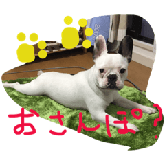 [LINEスタンプ] わさえの