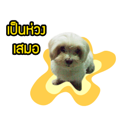 [LINEスタンプ] My Dog in Memory 