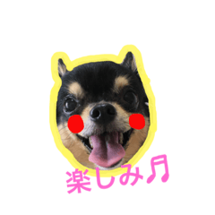 [LINEスタンプ] こてつすたんぷ。その2 