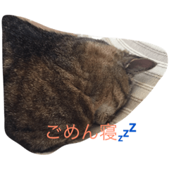 [LINEスタンプ] みぶちゃんだよ 