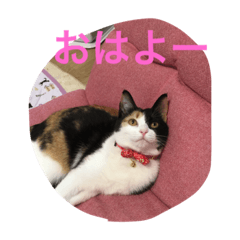 [LINEスタンプ] sakura-mike 