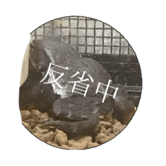 [LINEスタンプ] ヒキガエルの日常