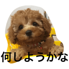 [LINEスタンプ] マリンのきもち！