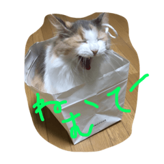[LINEスタンプ] うちのねこララ fetchpriority=high