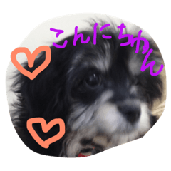 [LINEスタンプ] 犬さんのスタンプ