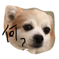 [LINEスタンプ] 雑だけどかわいいスタンプ