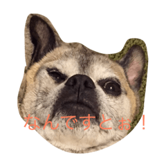 [LINEスタンプ] わがまま、わるドック
