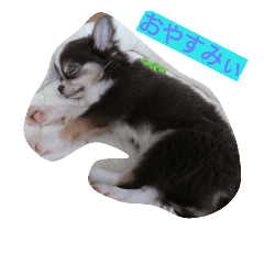 [LINEスタンプ] そら君2