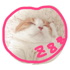 [LINEスタンプ] でるたん7