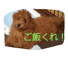 [LINEスタンプ] 家族はペット4
