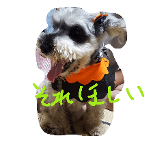 [LINEスタンプ] 家族はペット3