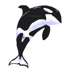 [LINEスタンプ] シャチたち2