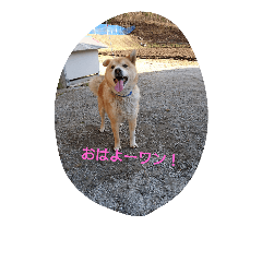 [LINEスタンプ] Boku Notaro