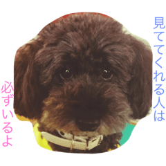 [LINEスタンプ] ガブさんのひとこと 〜人生を語る編〜