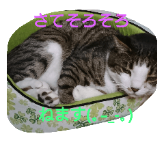[LINEスタンプ] 我が家の杏仁くん