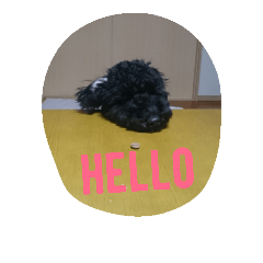 [LINEスタンプ] 犬こてつ3