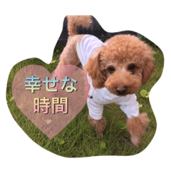 [LINEスタンプ] トイプードル もこ＆らる part2
