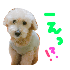 [LINEスタンプ] むーす＆とろろ