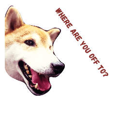 [LINEスタンプ] 柴犬そら日記