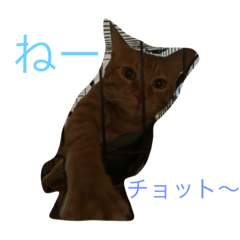 [LINEスタンプ] 可愛い愛する愛犬と猫