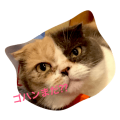 [LINEスタンプ] ウランちゃん2